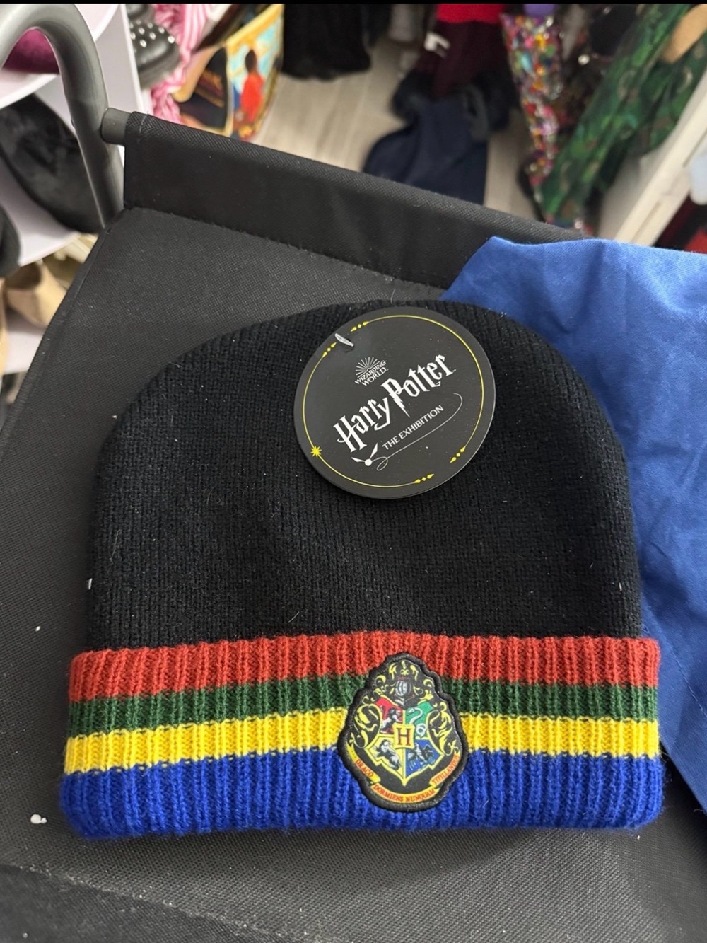 Harry Potter Hogwarts House Beanie